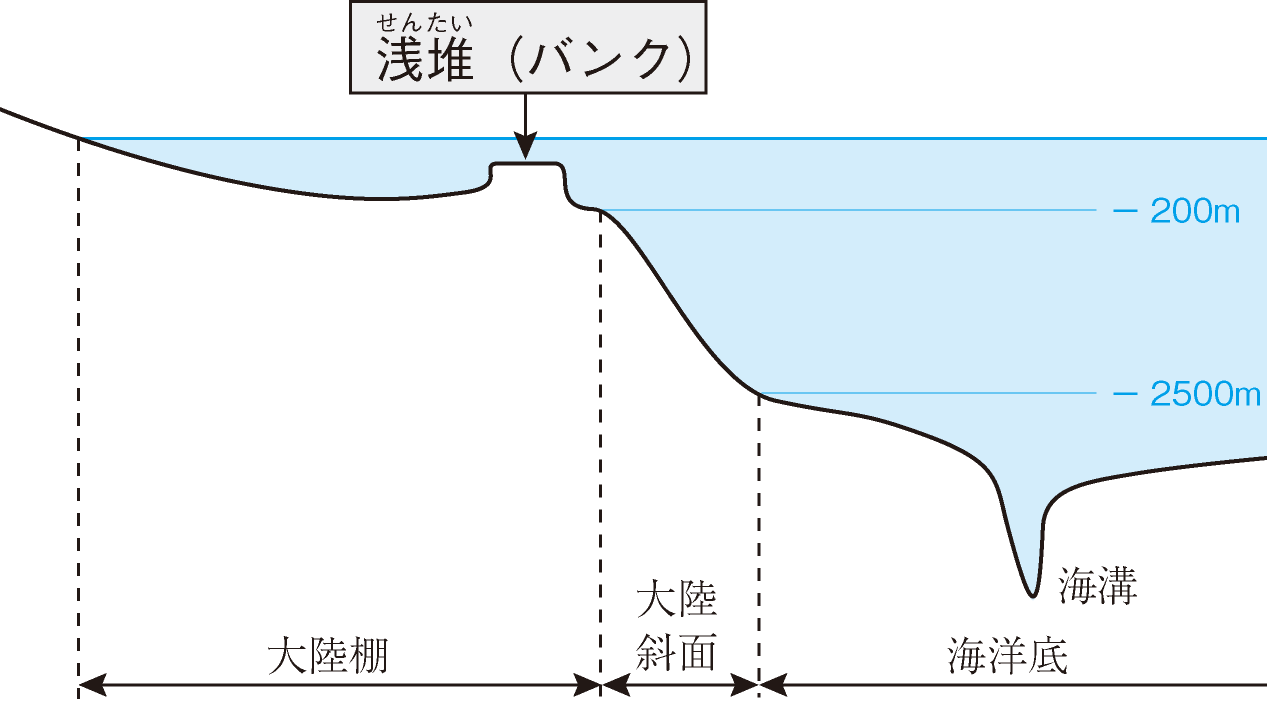 ��́i�o���N�j