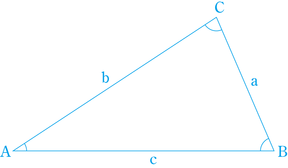 �]���藝�Ɛ����藝